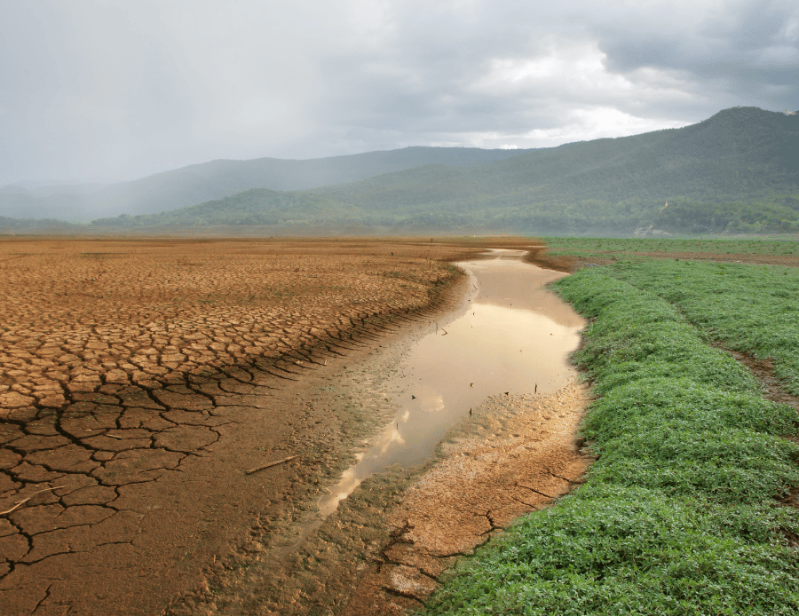 15. Environment and climate Change