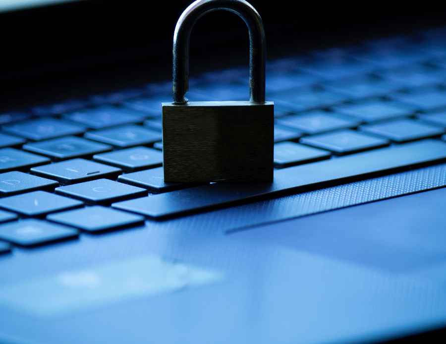 20. Data Privacy and Protection