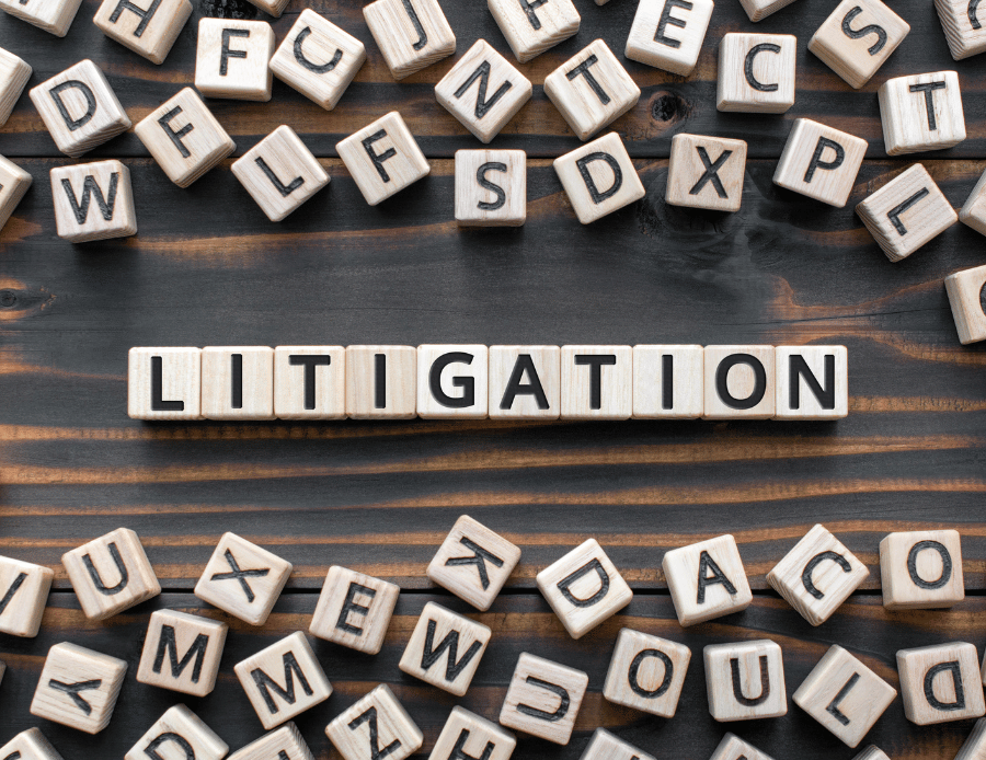 Public Interest Litigation